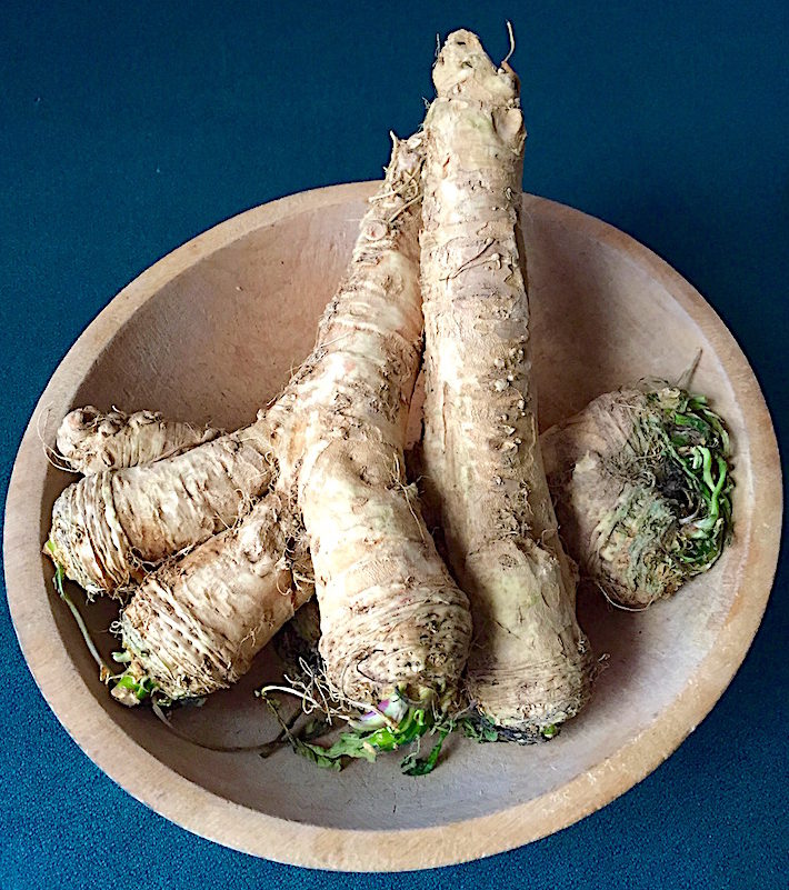 Horseradish roots