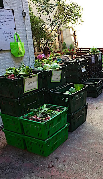 Produce in bins to be picked up by members 