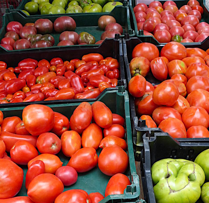 Bradley's Italian and Heirloom Tomatoes