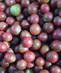 Bradley cherry tomatoes