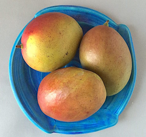 Ripe mangoes on a porcelain plate by James Makins 