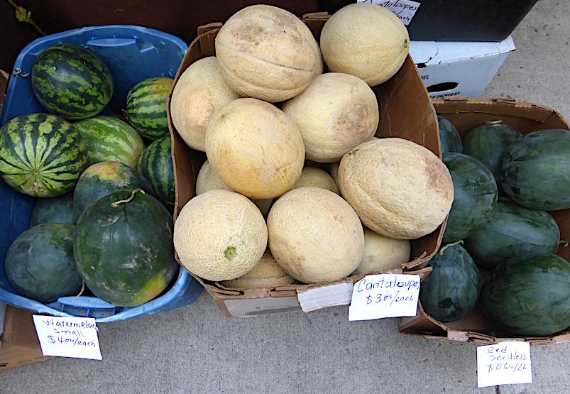 Amantai Melons