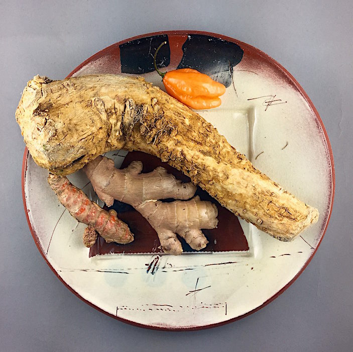 Turmeric, ginger and horseradish roots and habanero pepper Pressed and painted earthenware plate by Patrick Loughran