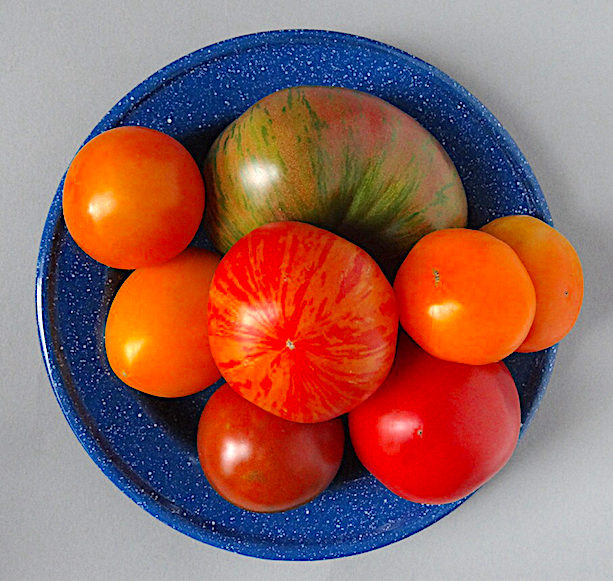 Ripe farmer's market tomatoes